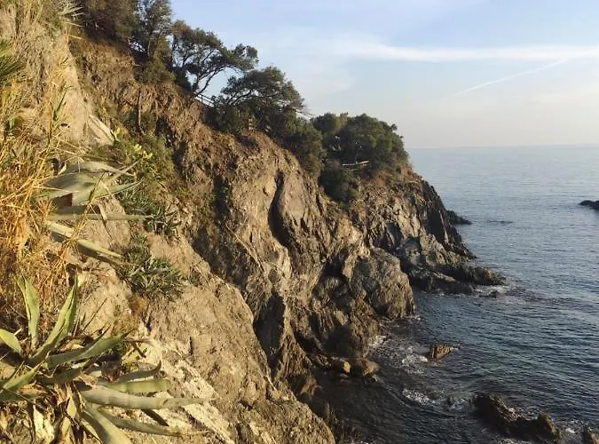 Via Verdi 5, Gli Affreschi شقة