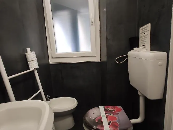 Via Verdi 5, Gli Affreschi