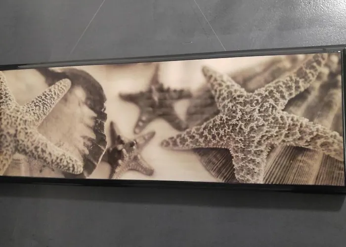 Via Verdi 5, Gli Affreschi * Монтероссо-аль-Маре